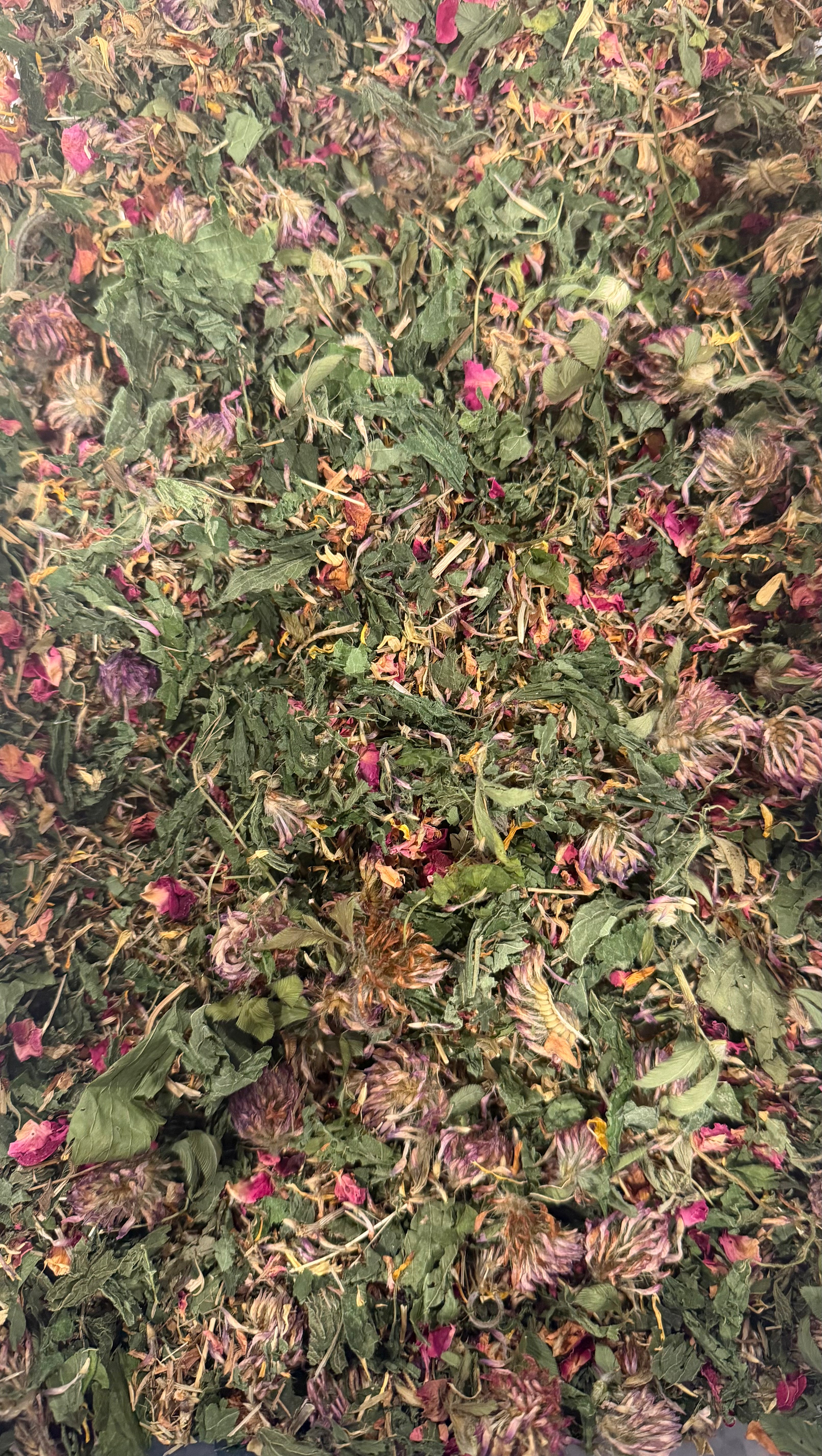 Roots + Radiance Tea Blend