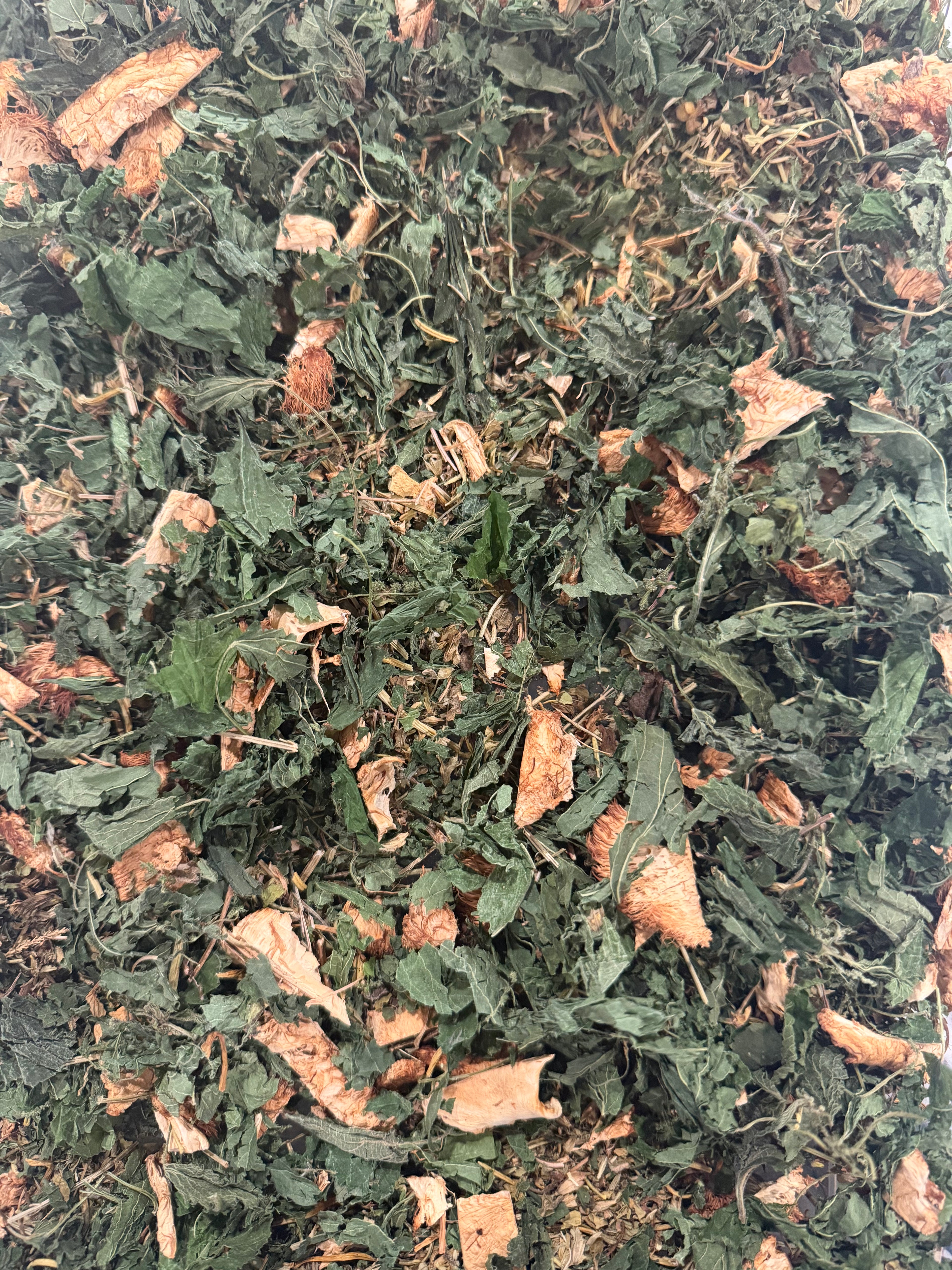 Rooted Focus Tea Blend
